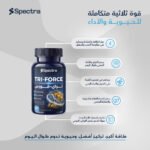 ⁦تراي-فورس (Spectra TRI-FORCE)⁩ - الصورة ⁦3⁩