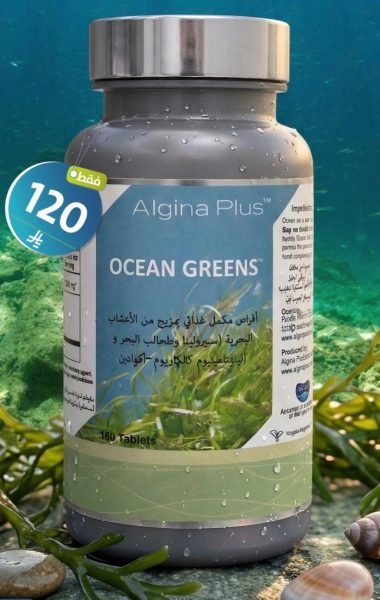 WhatsApp Image 2026-04-03 at 23.26.55 (1)